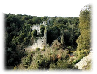 Bienvenido al weblog mirian